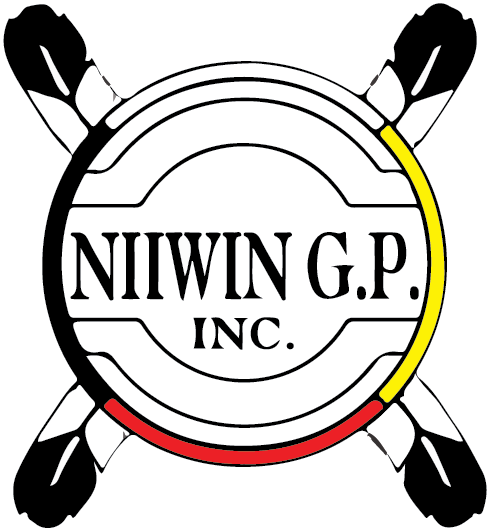 niiwin-logo-vector